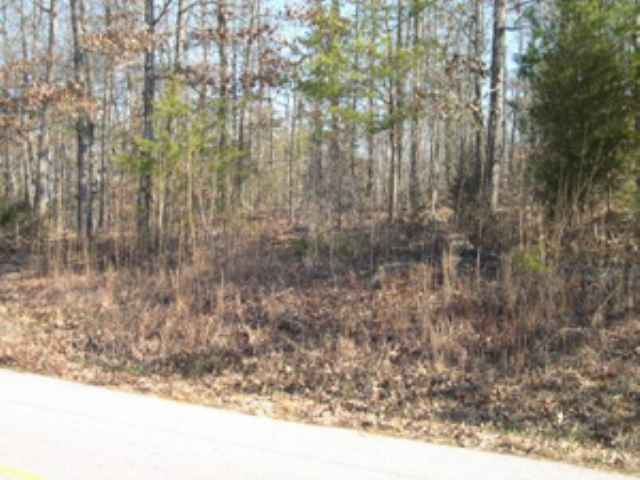 0 Collins Road Lavonia, GA 30553 - Photo 2 of 2 Gallery Image 2
