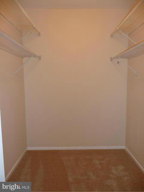 10024 Stedwick Road, Unit 303 Gaithersburg, MD 20886 - Photo 14 of 23 Bedroom (Master)