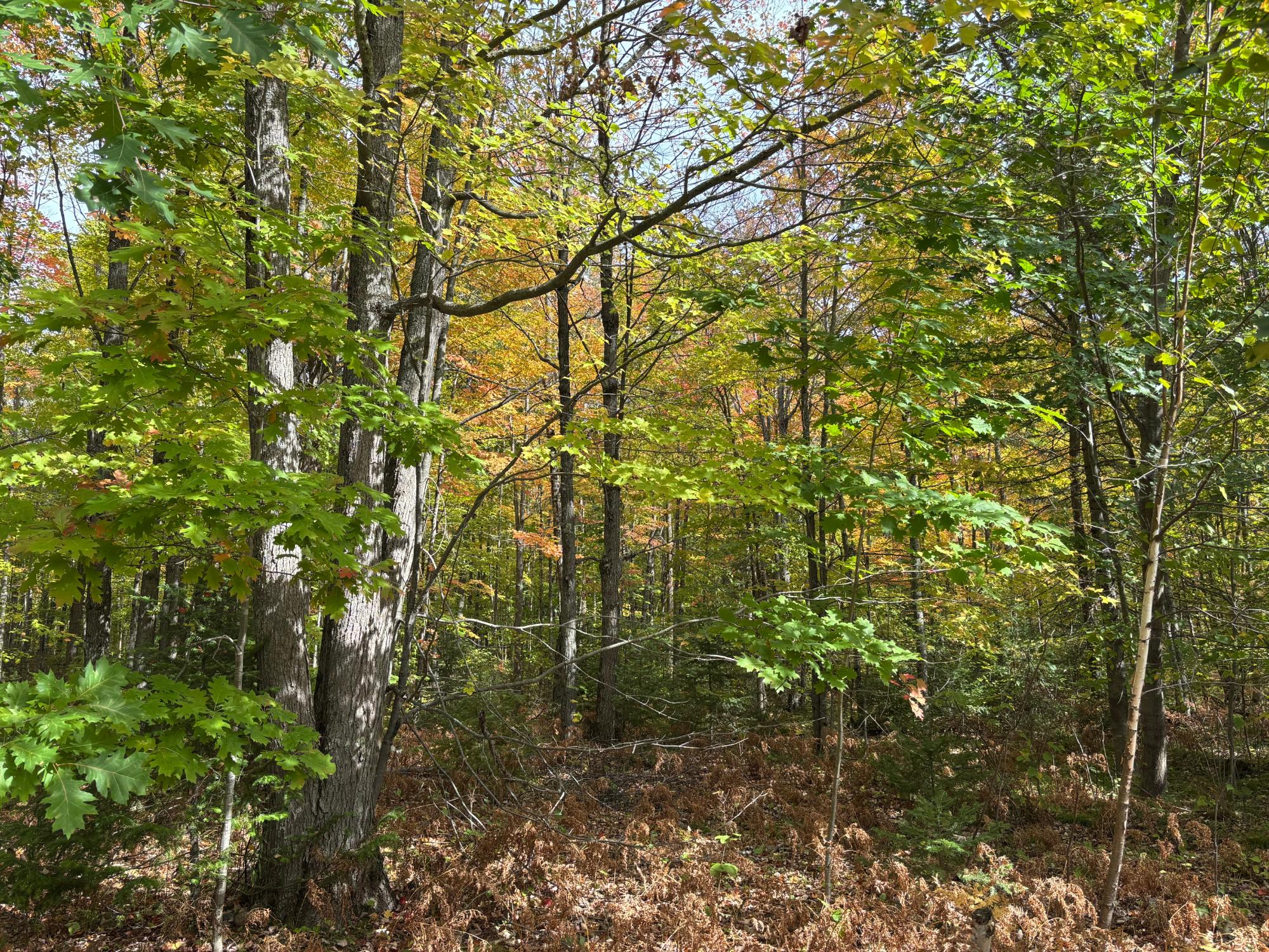 1874 W Birch Tree Road Mercer, WI 54547 - Photo 28 of 33 Gallery Image 28