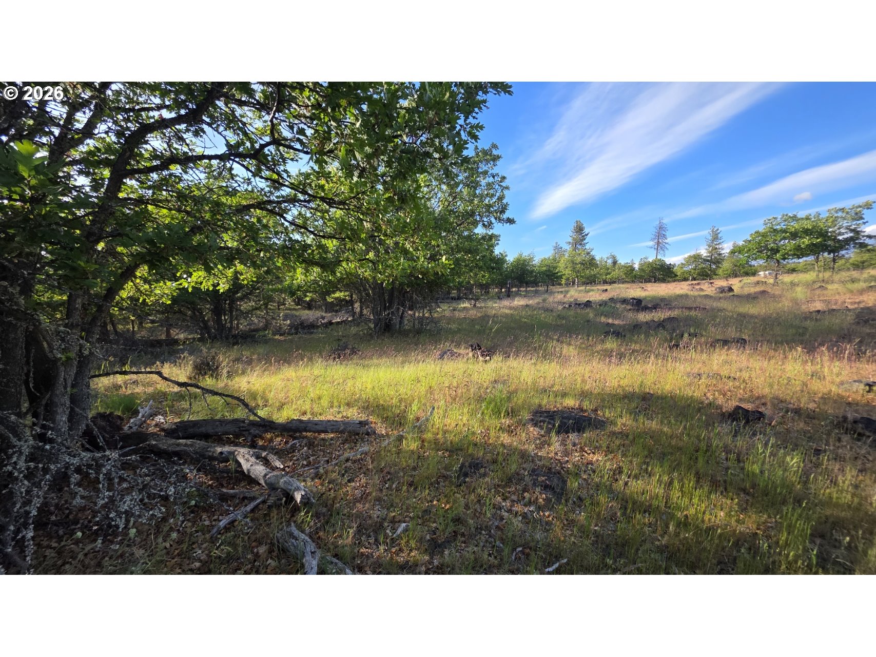 Meacham Road, Unit 2 Goldendale, WA 98620 - Photo 5 of 14 Gallery Image 5