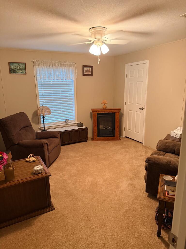 786 Blackberry Road Baconton, GA 31716 - Photo 29 of 67 Gallery Image 29