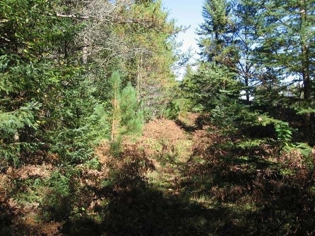 45 Eagle River Conover, WI 54519 - Photo 12 of 15 Gallery Image 12