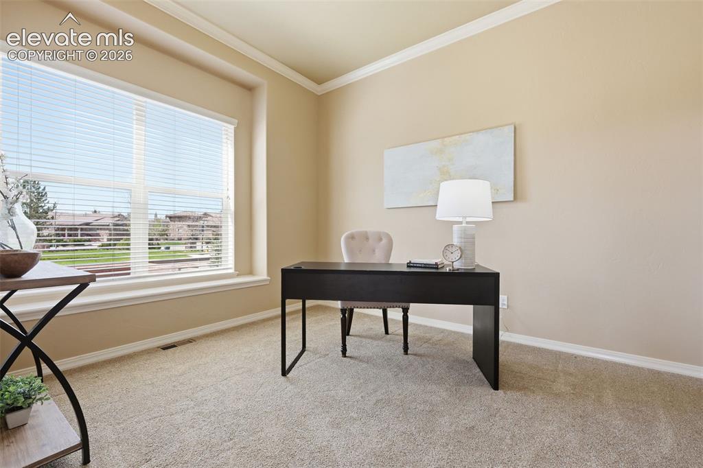 13184 Cake Bread Heights Colorado Springs, CO 80921 - Photo 18 of 47 Large office with glass french doors and views!