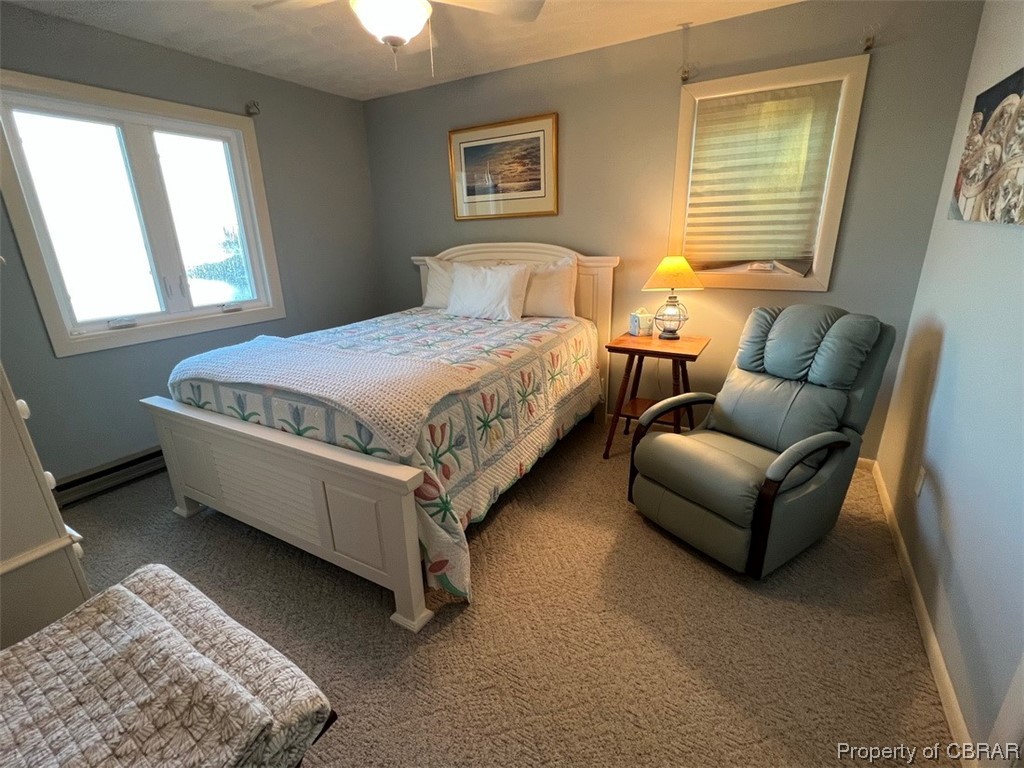790 Long Point Lane Topping, VA 23169 - Photo 16 of 26 Carpeted bedroom with ceiling fan and baseboard heating