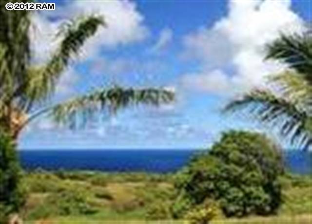 0 Ulalena Loop Haiku, HI 96708 - Photo 1 of 1 a view of a yard