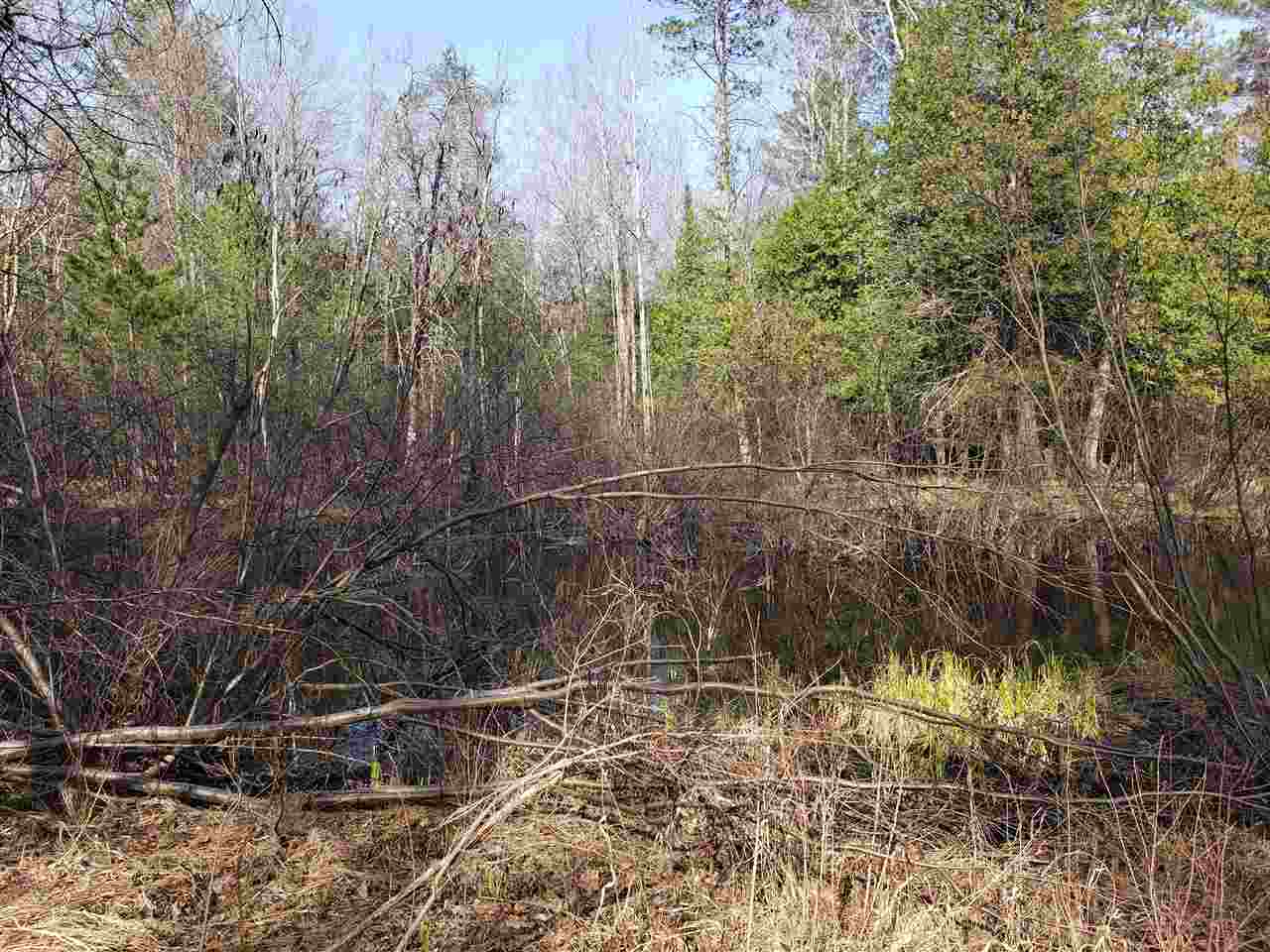 10272 Anger Road Harrison, MI 48625 - Photo 13 of 13 Gallery Image 13