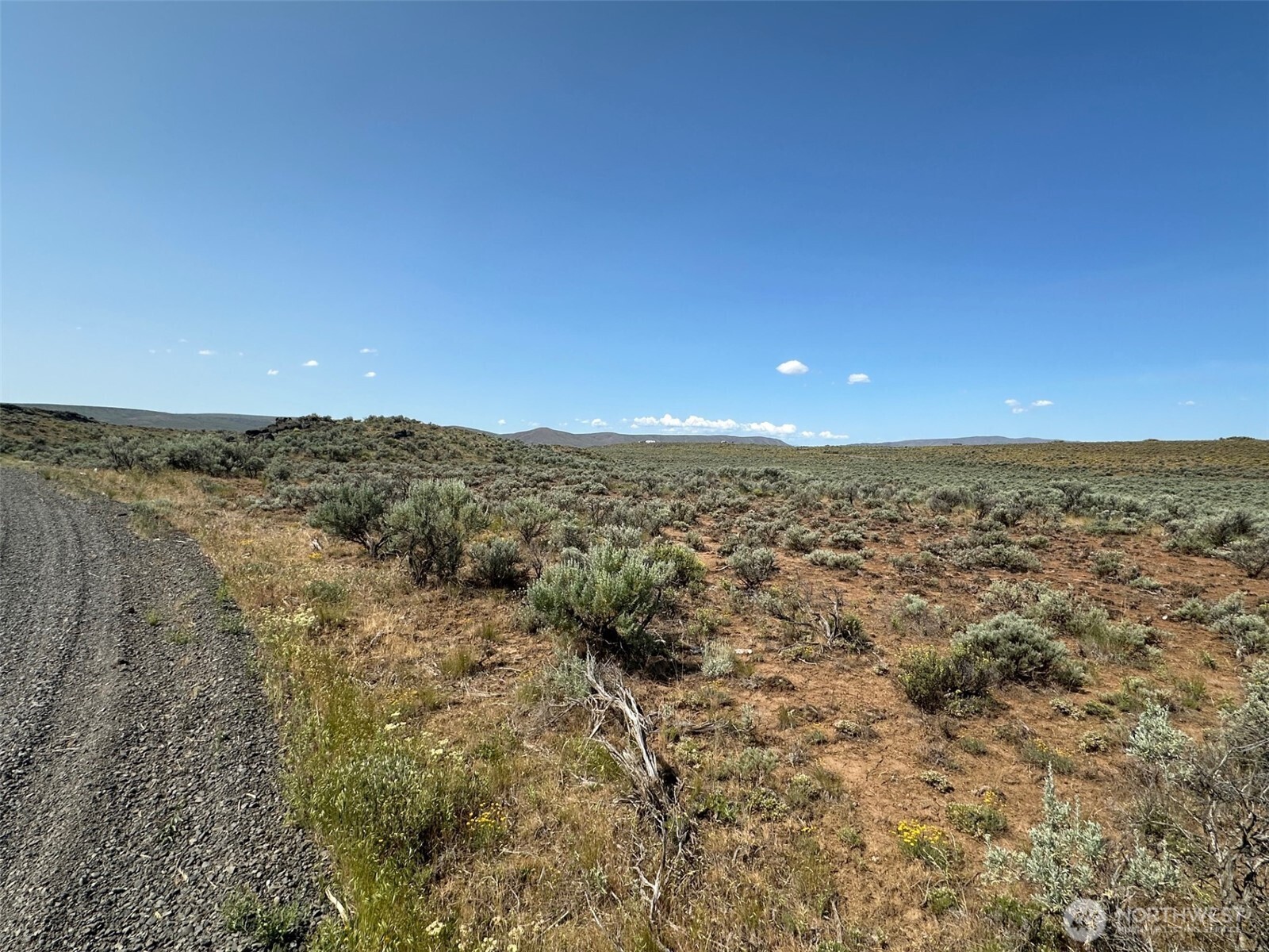 a view of a dry yard with wooden floor and mountain view