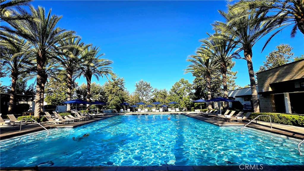 56 Redshift Irvine, CA 92618 - Photo 60 of 67 a view of a swimming pool with chairs