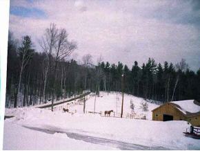 49 A Old Temple Road Lyndeborough, NH 03082 - Photo 1 of 2
