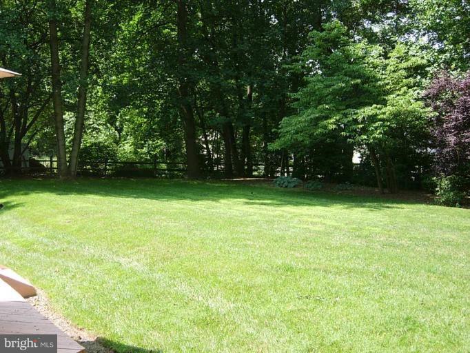 15212 Redgate Drive Silver Spring, MD 20905 - Photo 26 of 28 a view of a green yard