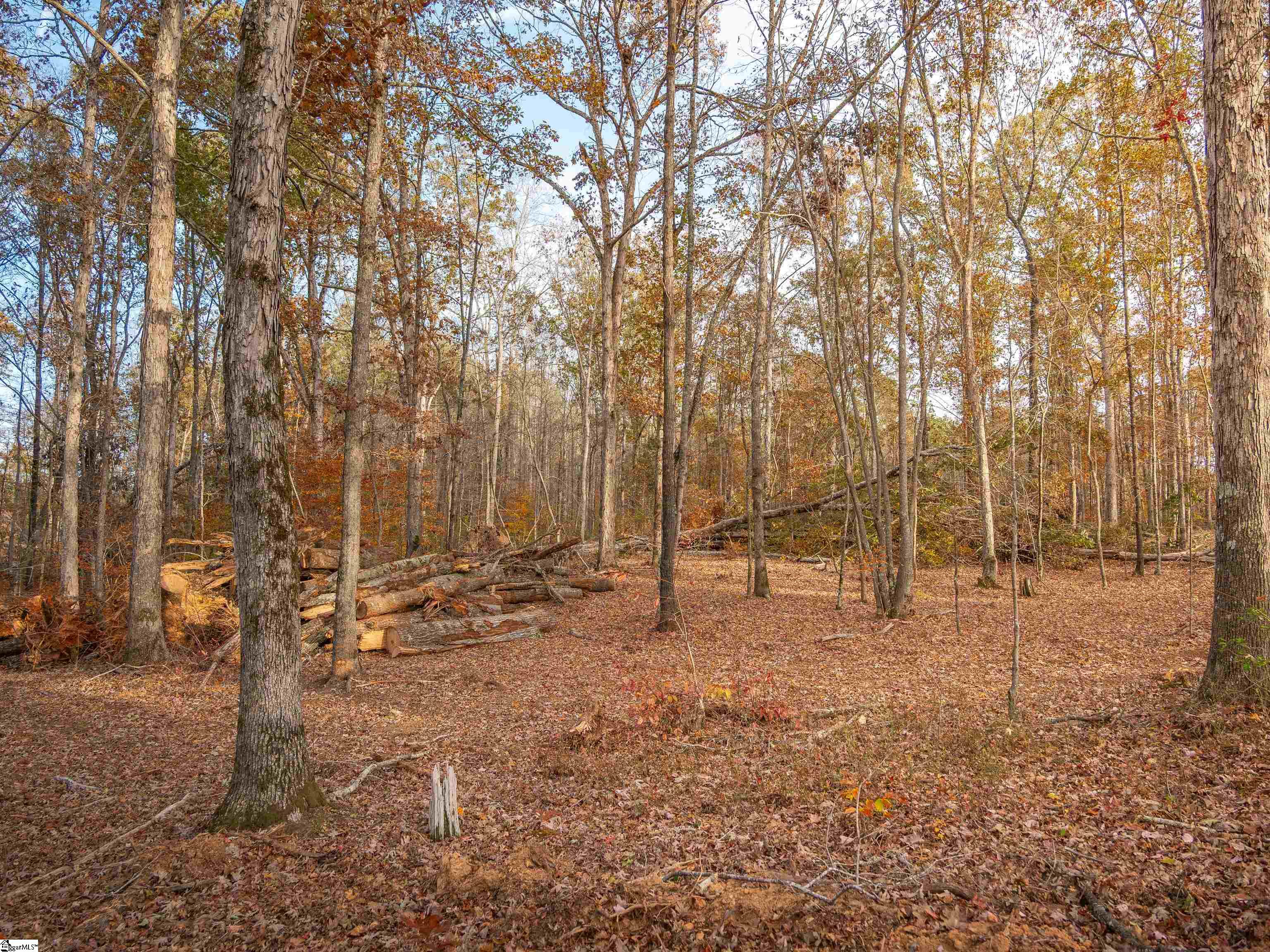 253 West Chapman Road, Unit LOT 8 Belton, SC 29627 - Photo 21 of 23