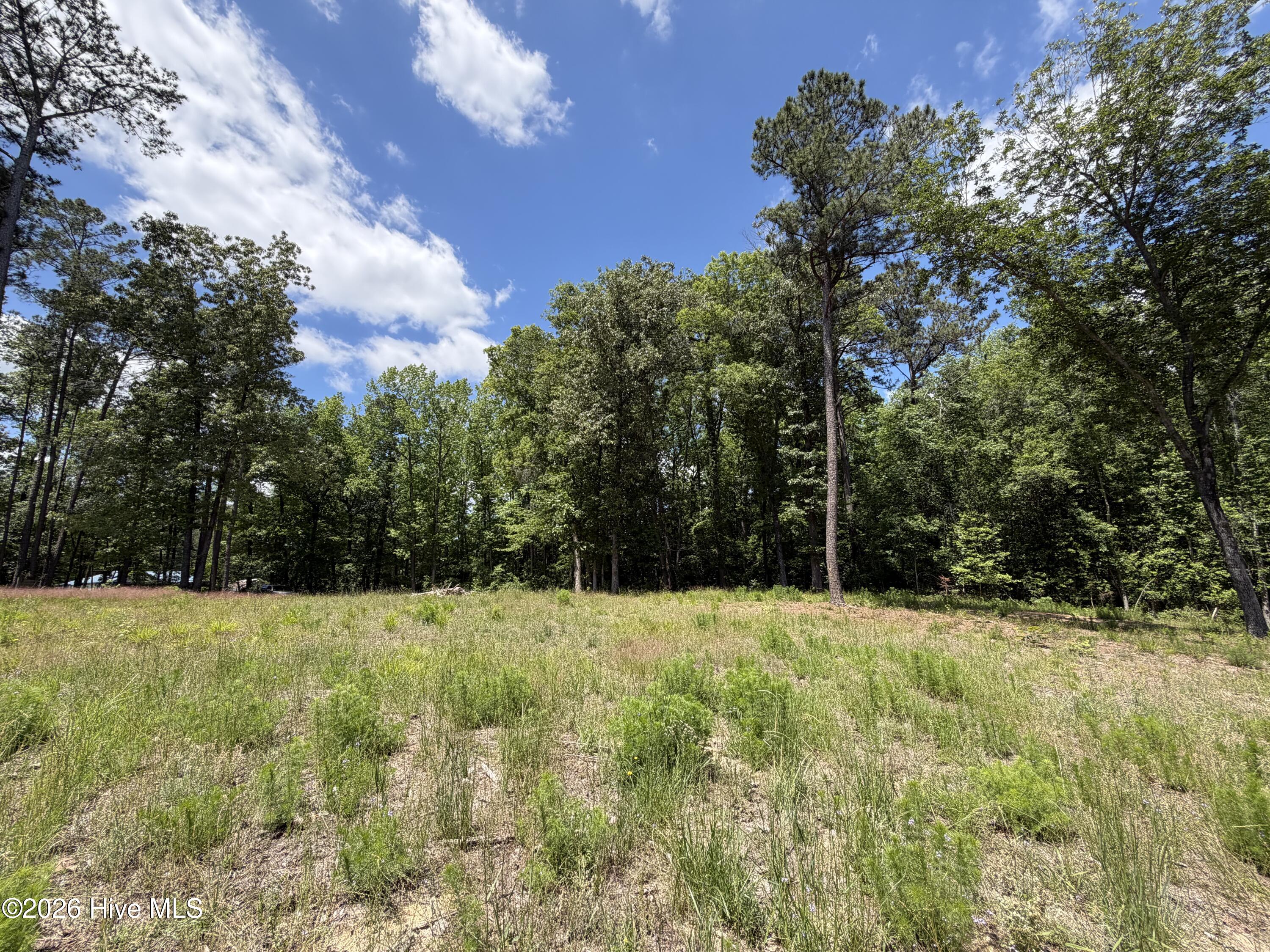 979 Aiken Road Vass, NC 28394 - Photo 20 of 26 979 Aiken Rd 20
