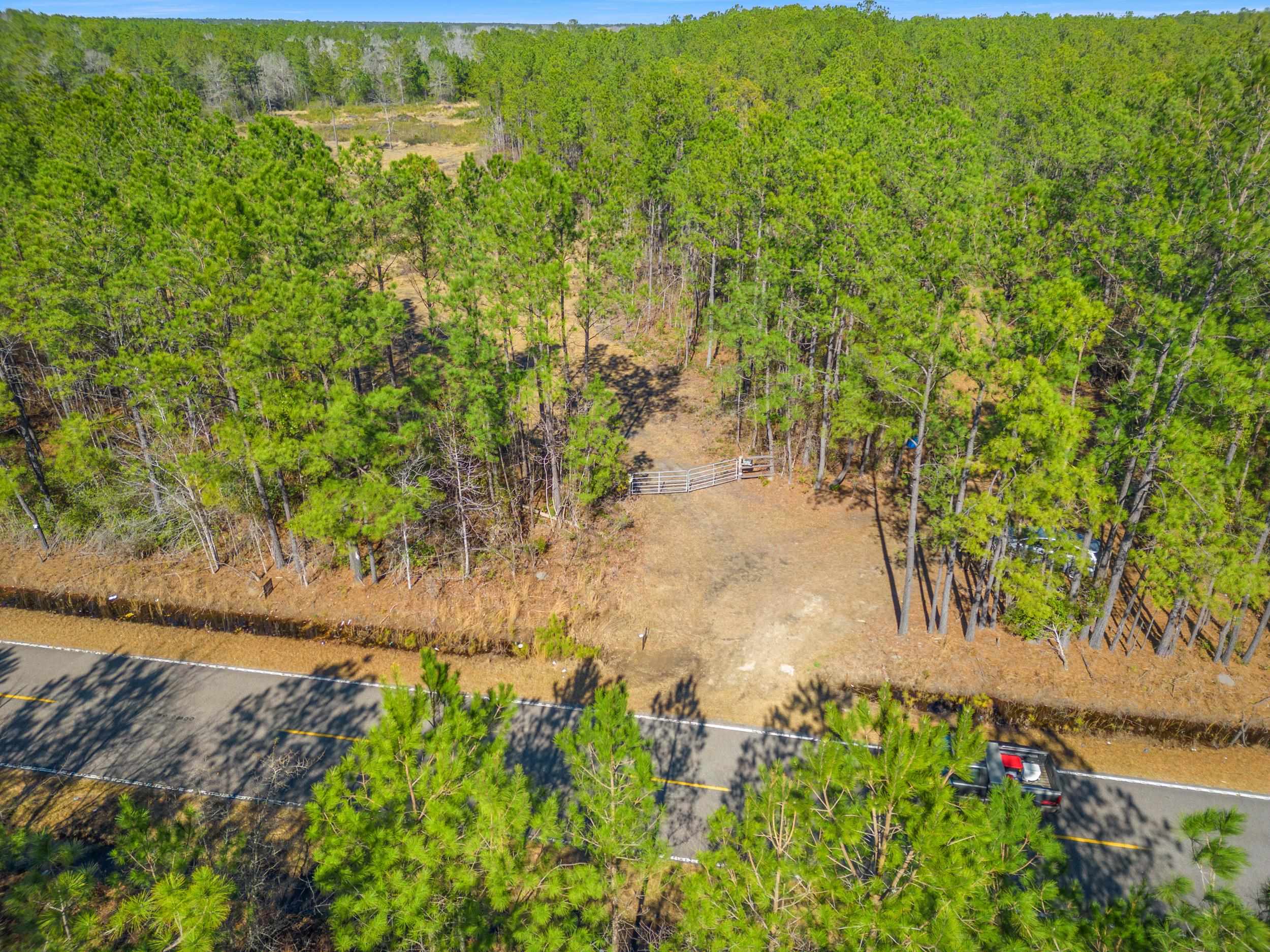 Tbd Williams Hill Road Hemingway, SC 29554 - Photo 2 of 27 Gallery Image 2
