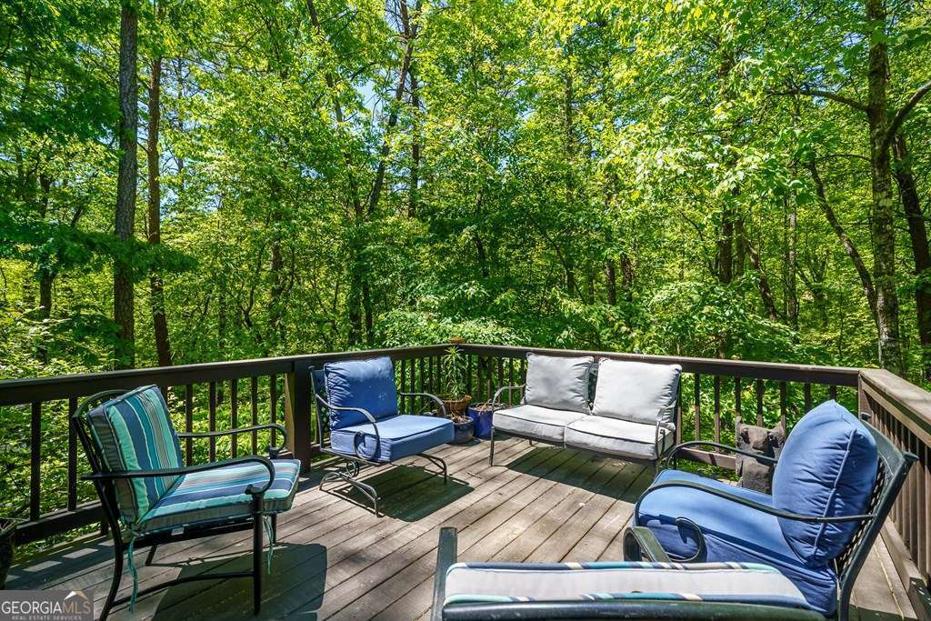 259 The Woods Road, Unit 33 Mineral Bluff, GA 30559 - Photo 41 of 54