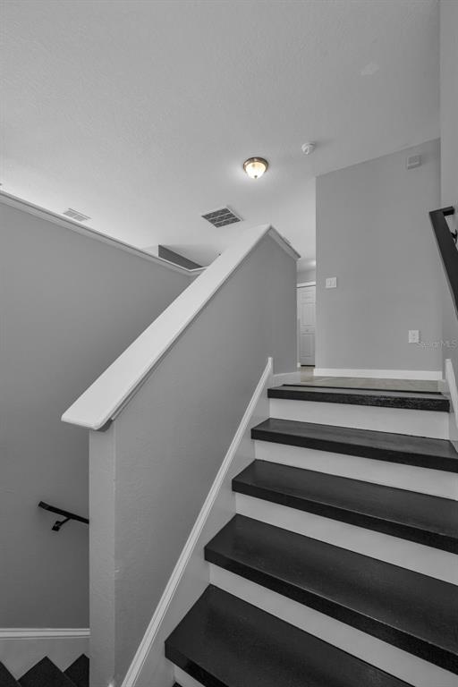 1345 Halapa Way Trinity, FL 34655 - Photo 36 of 93
