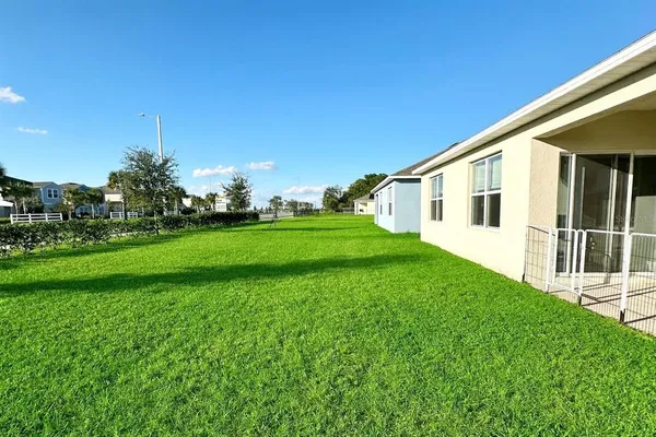 a view of a backyard with plants and large trees