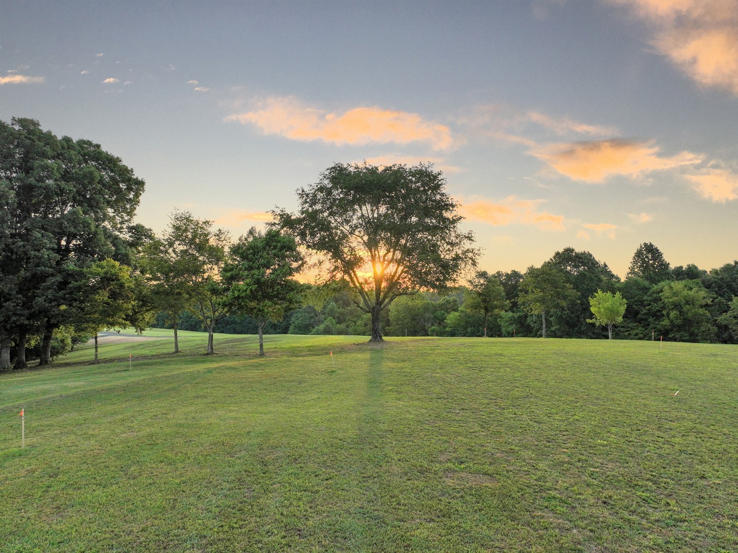 7740 Pewitt Road Franklin, TN 37064 - Photo 1 of 33 a view of a green field with trees in the background
