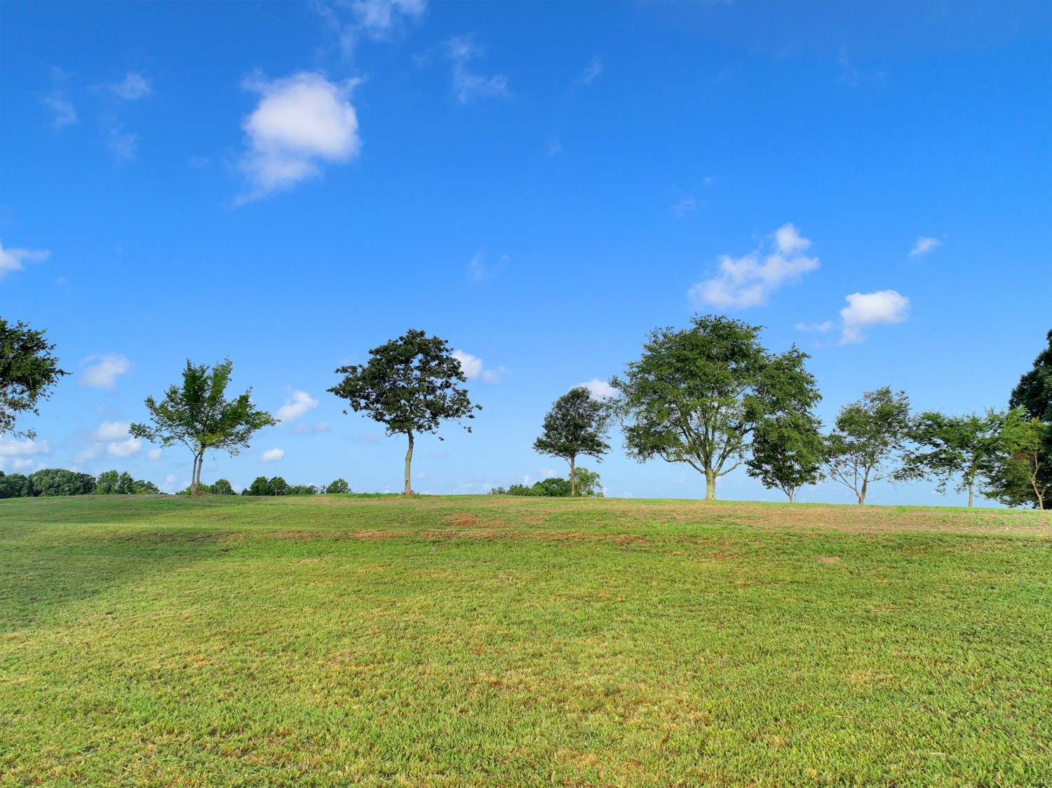 7740 Pewitt Road Franklin, TN 37064 - Photo 11 of 33 a view of yard with swimming pool and trees in the background
