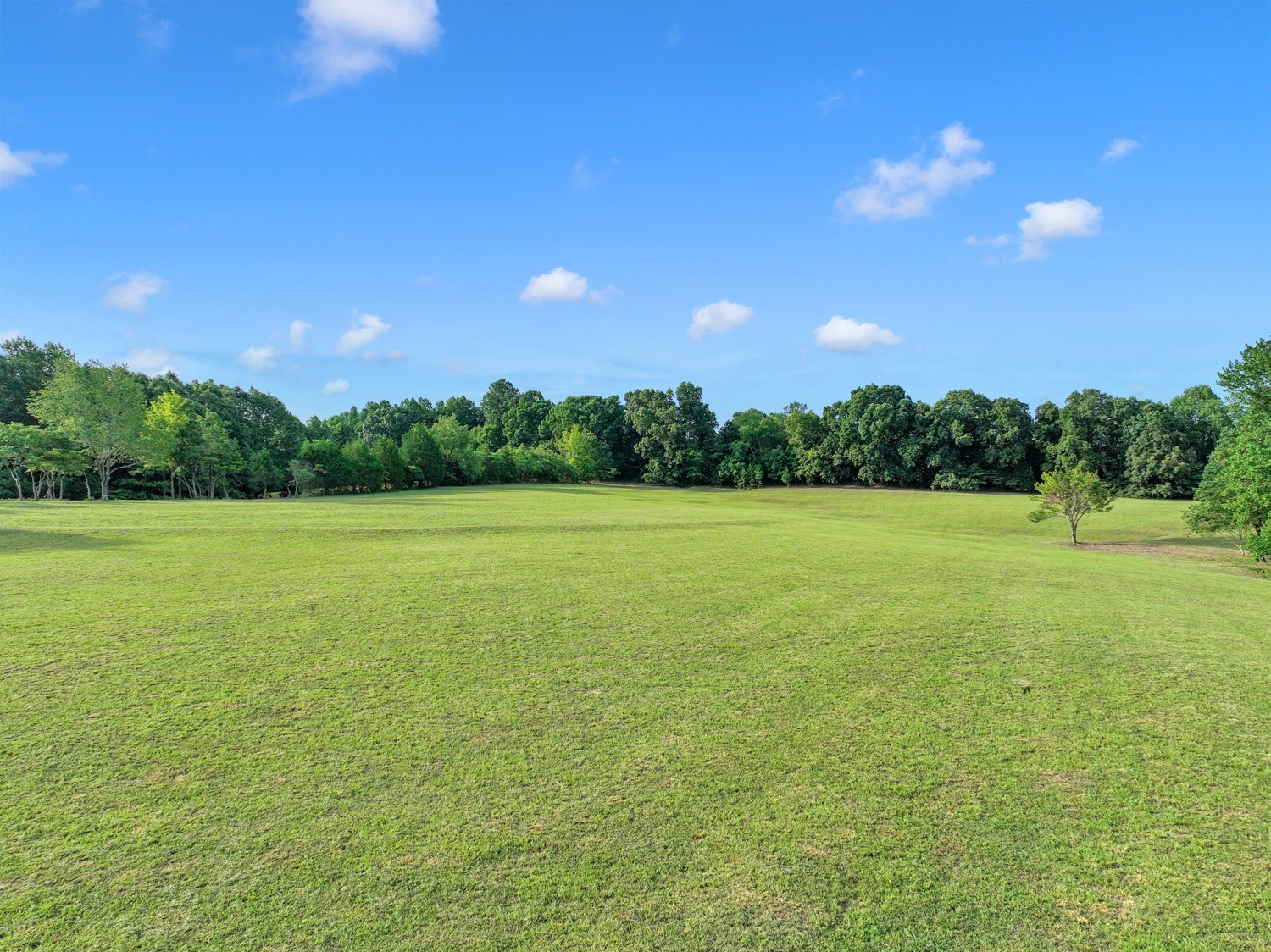 7740 Pewitt Road Franklin, TN 37064 - Photo 13 of 33 a view of a green field with a tree in the background