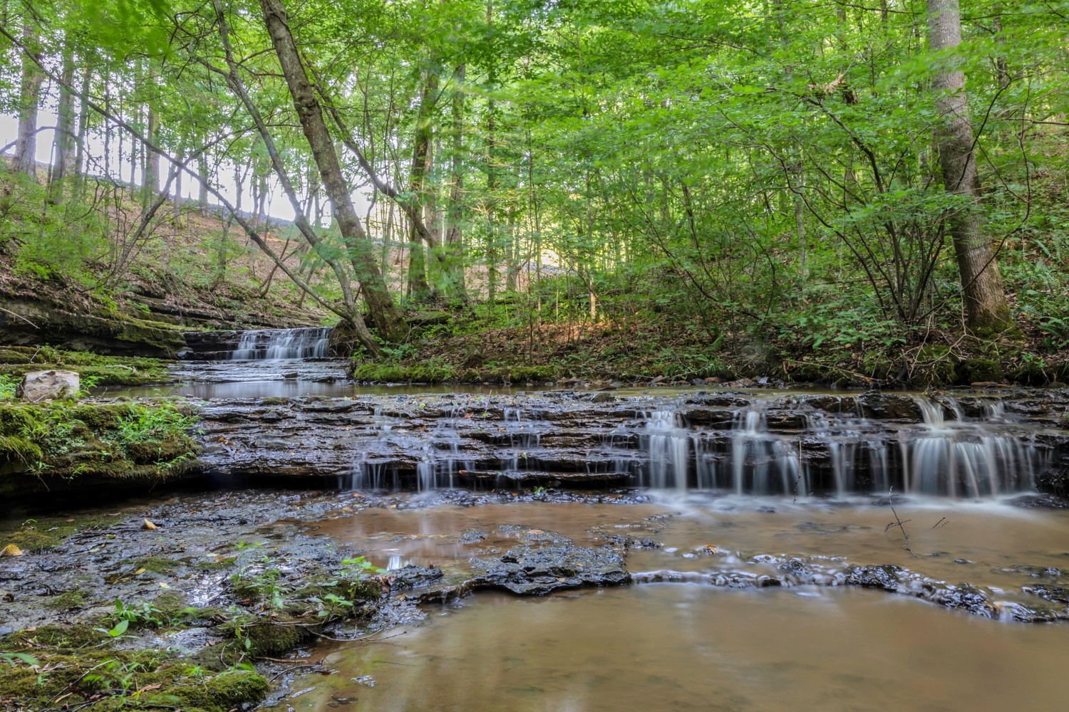 7740 Pewitt Road Franklin, TN 37064 - Photo 17 of 33 a view of house with swimming pool and a yard