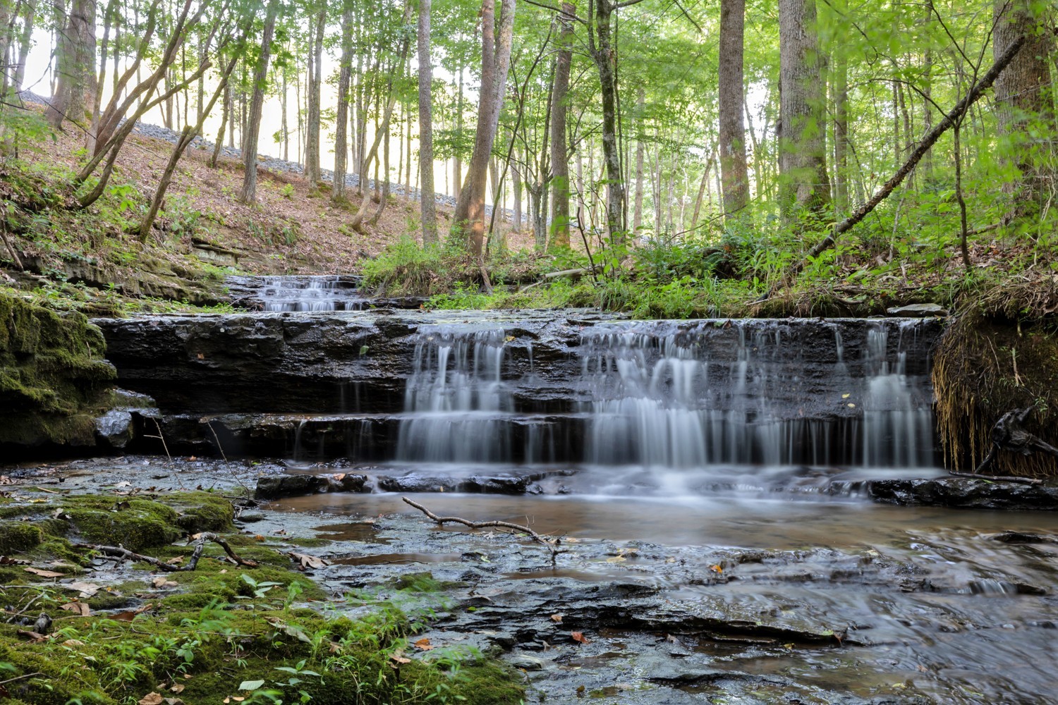 7740 Pewitt Road Franklin, TN 37064 - Photo 2 of 33 a backyard of a house with lots of green space