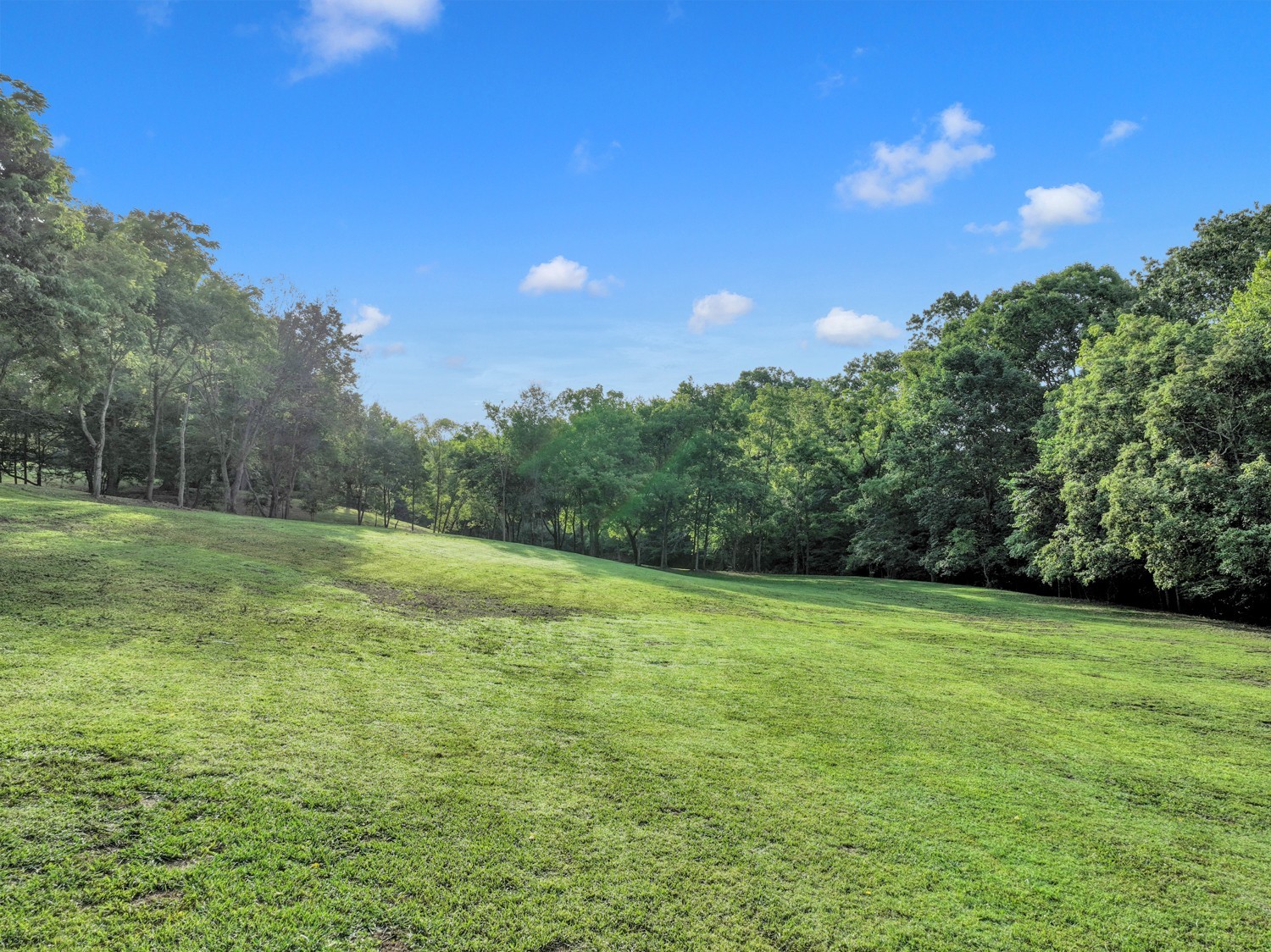 7740 Pewitt Road Franklin, TN 37064 - Photo 23 of 33 a view of a big yard with lots of green space