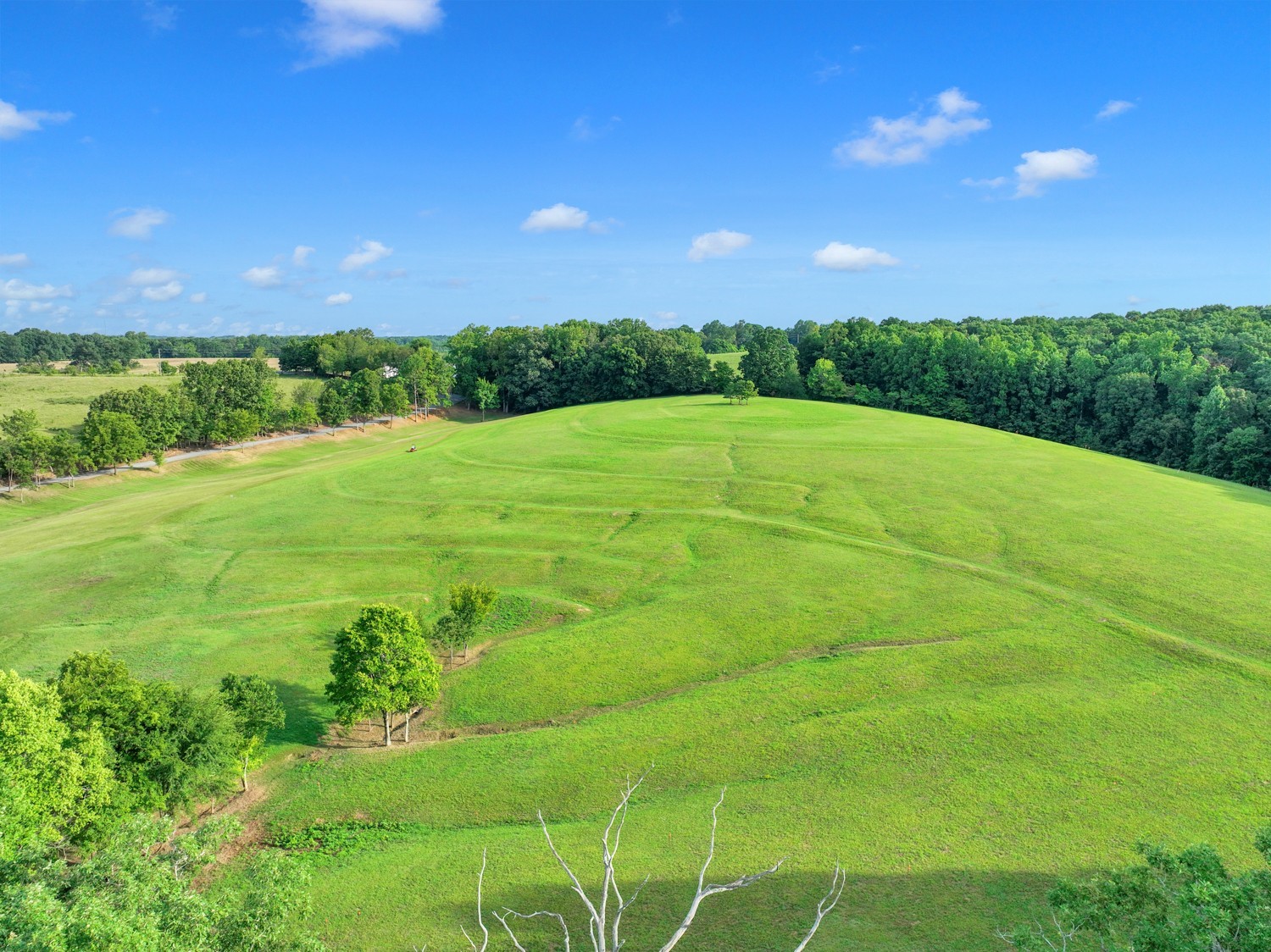 7740 Pewitt Road Franklin, TN 37064 - Photo 24 of 33 a view of a big yard with lots of green space and mountain view