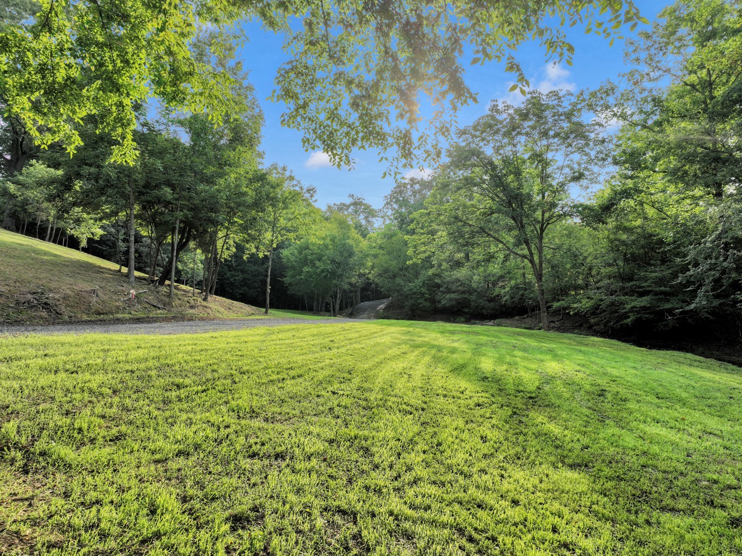 7740 Pewitt Road Franklin, TN 37064 - Photo 28 of 33 a view of outdoor space and yard