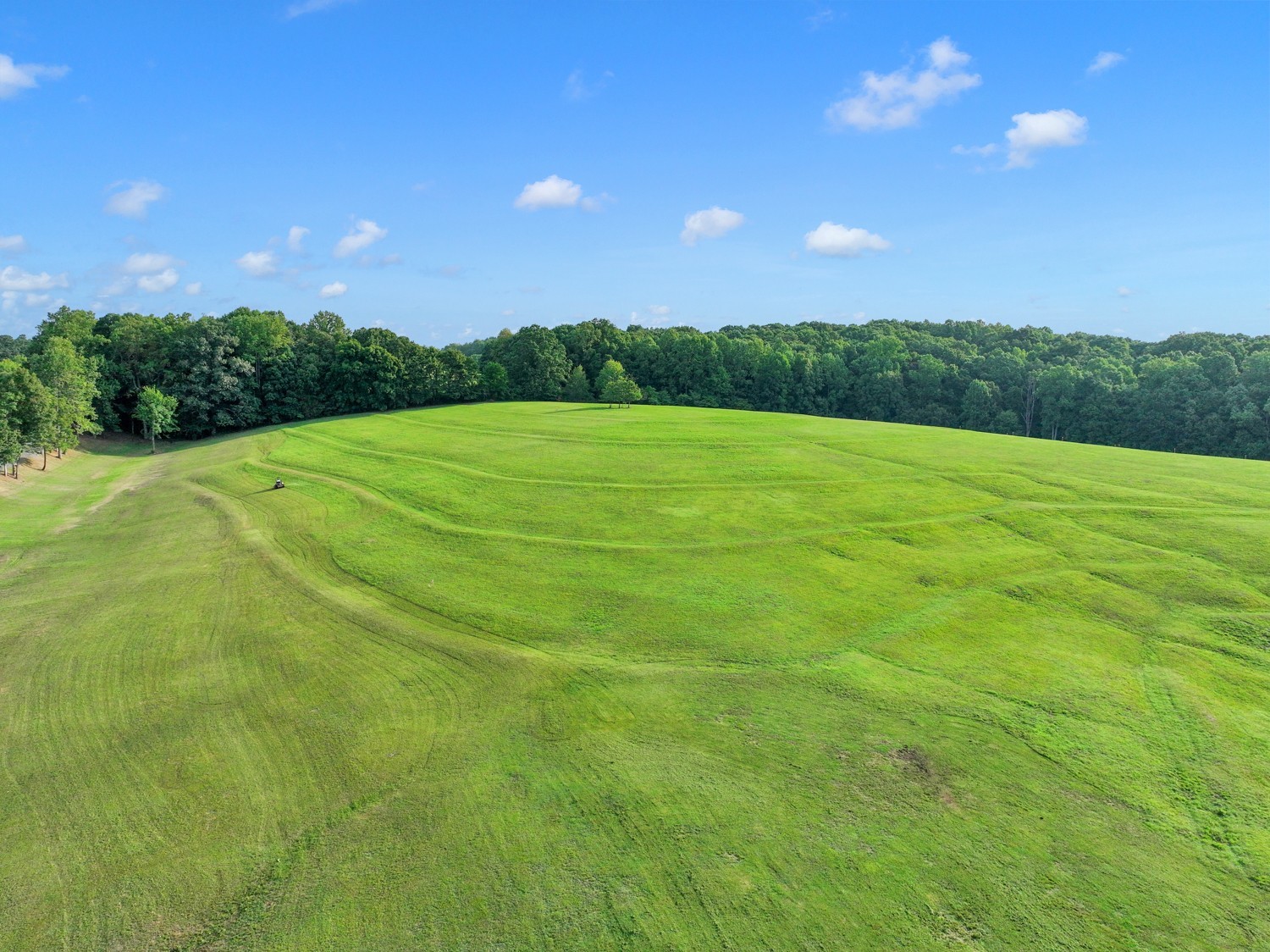7740 Pewitt Road Franklin, TN 37064 - Photo 29 of 33 a view of a big yard with green space