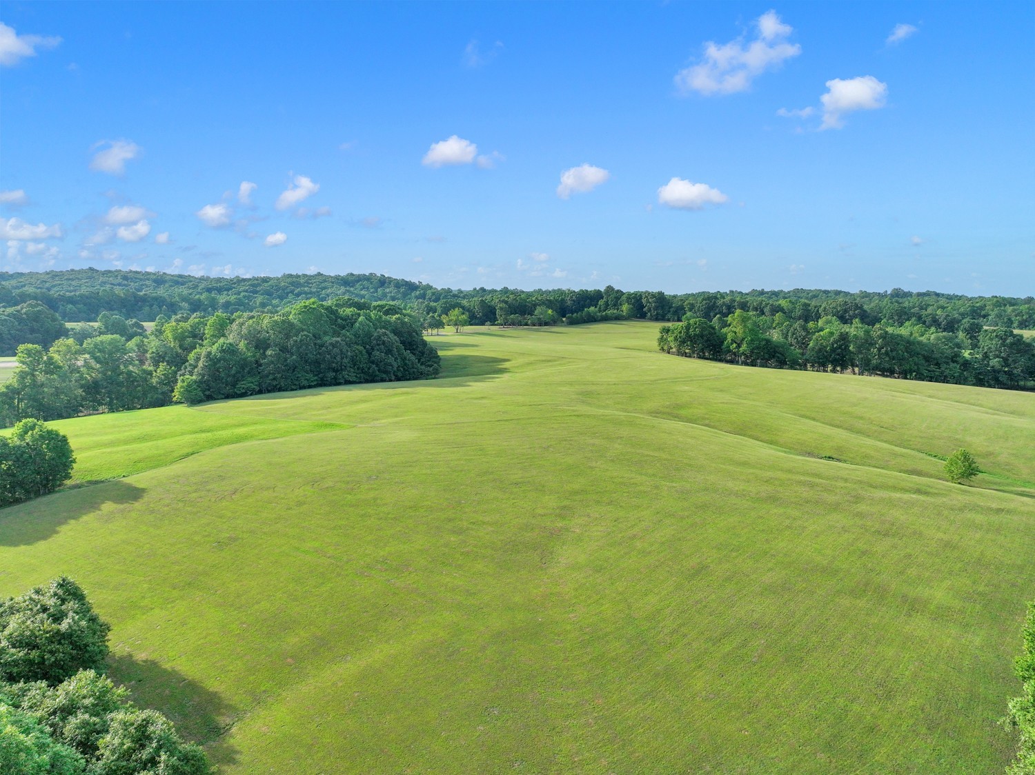 7740 Pewitt Road Franklin, TN 37064 - Photo 3 of 33 a view of an ocean and yard
