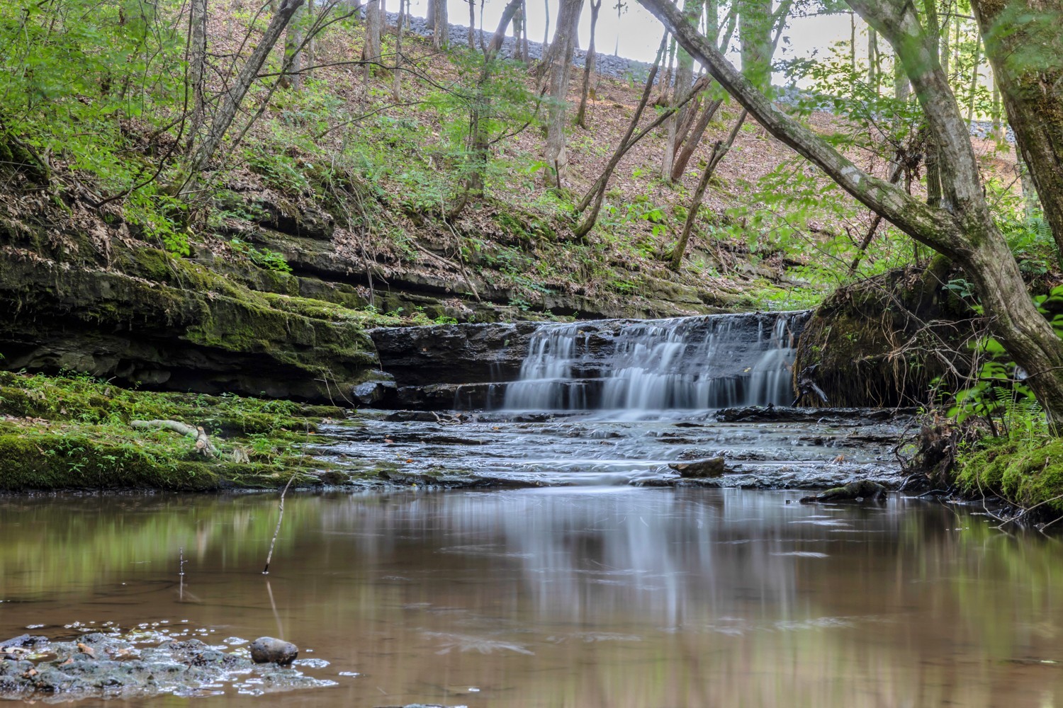 7740 Pewitt Road Franklin, TN 37064 - Photo 31 of 33 a view of a lake with a house in the background