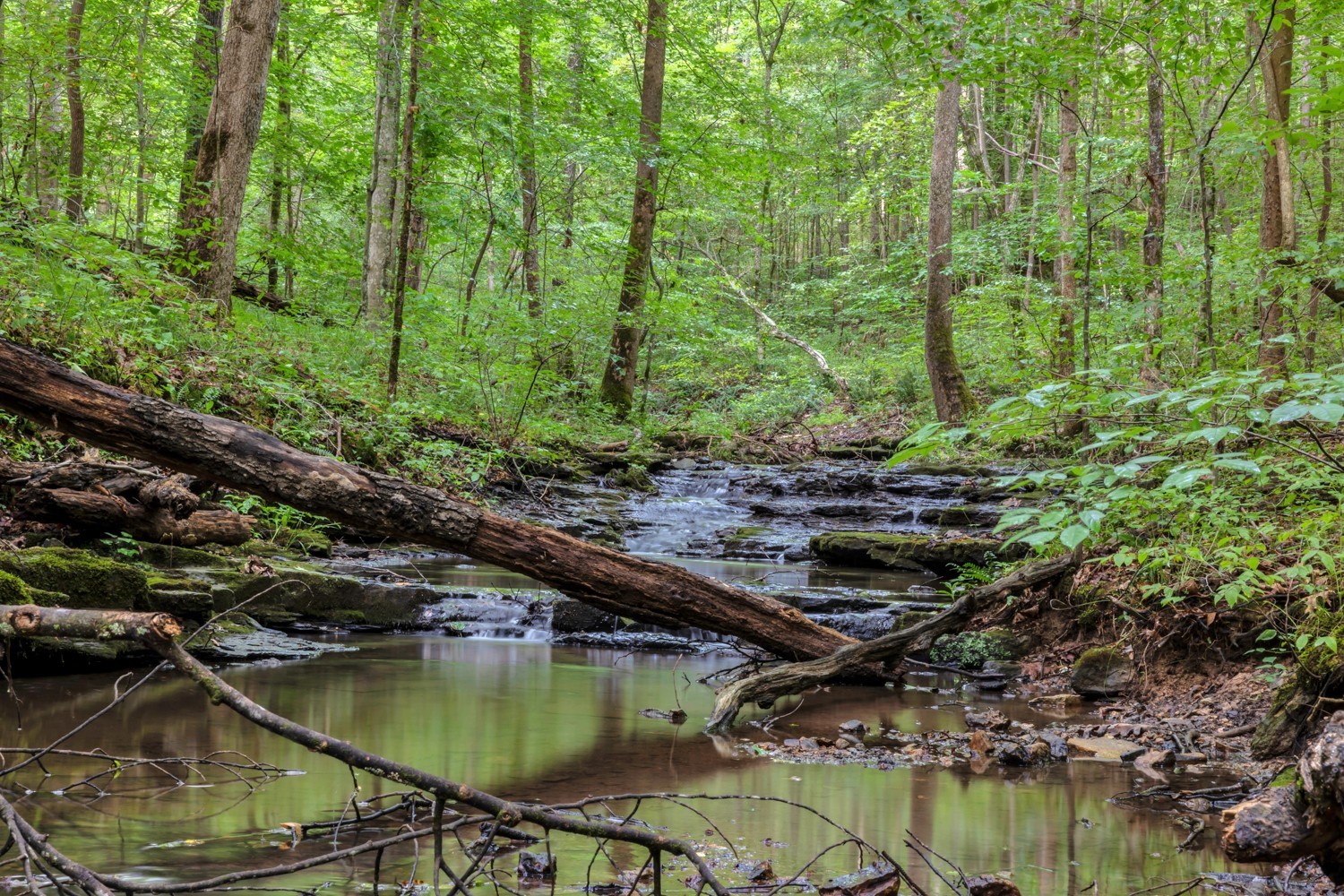 7740 Pewitt Road Franklin, TN 37064 - Photo 32 of 33 a view of swimming pool from a lake view