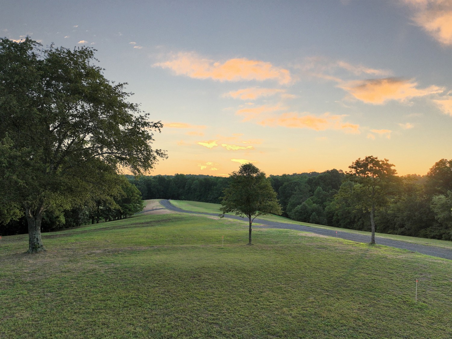7740 Pewitt Road Franklin, TN 37064 - Photo 4 of 33 a view of outdoor space with field and trees
