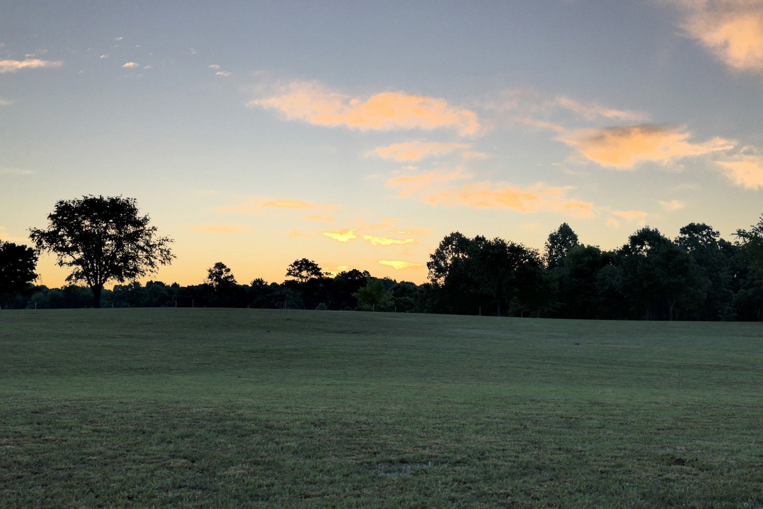 7740 Pewitt Road Franklin, TN 37064 - Photo 5 of 33 a view of grassy field with trees
