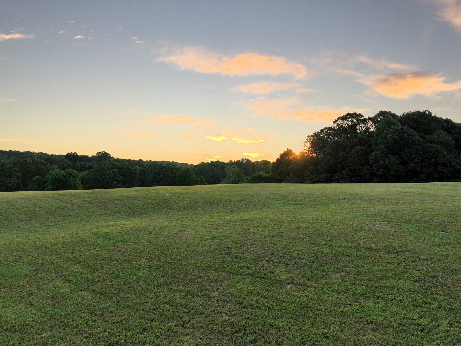 7740 Pewitt Road Franklin, TN 37064 - Photo 6 of 33 a view of a field with an ocean