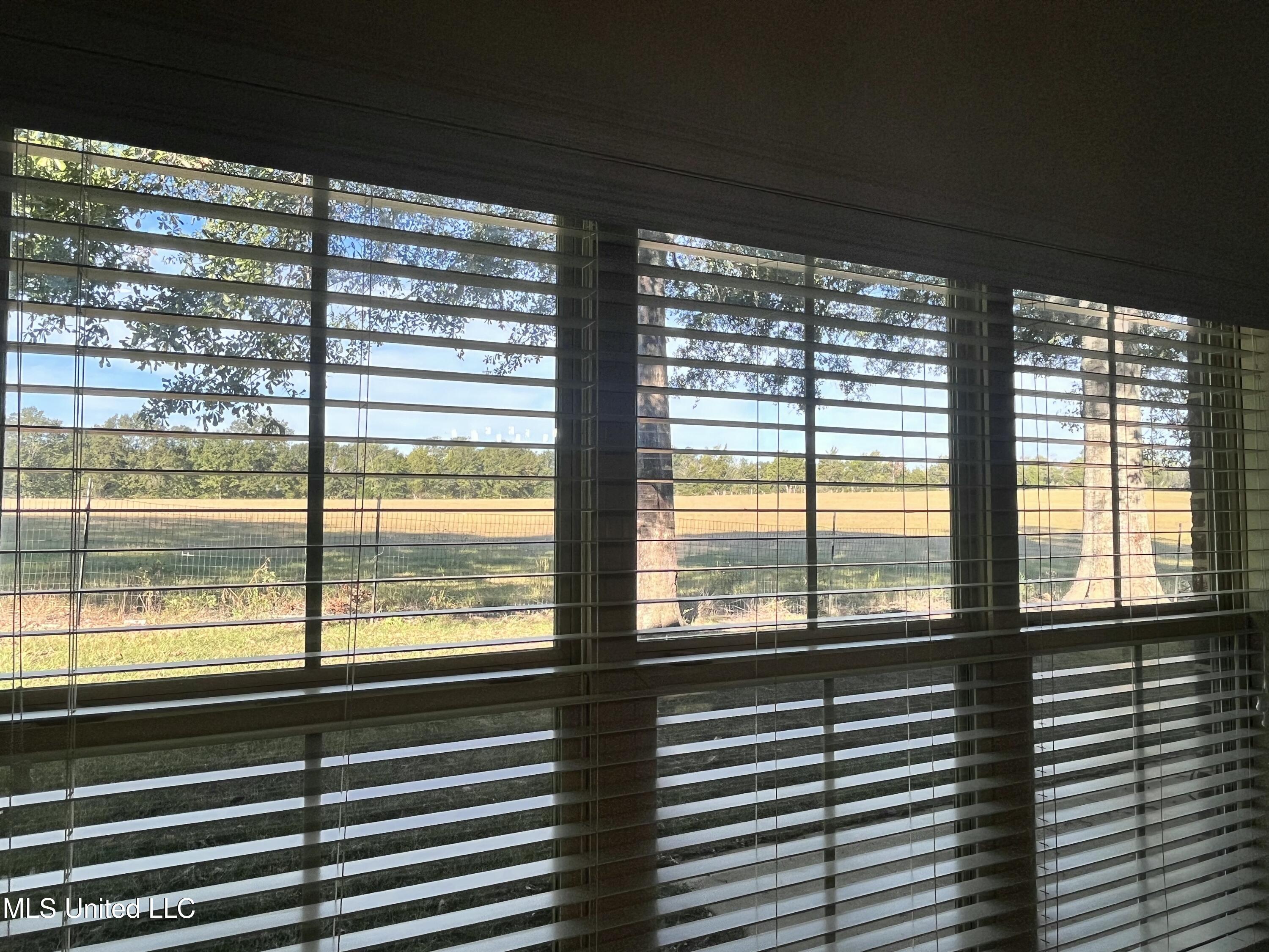 306 Cedar Stone Court Florence, MS 39073 - Photo 35 of 69 IMG_9581