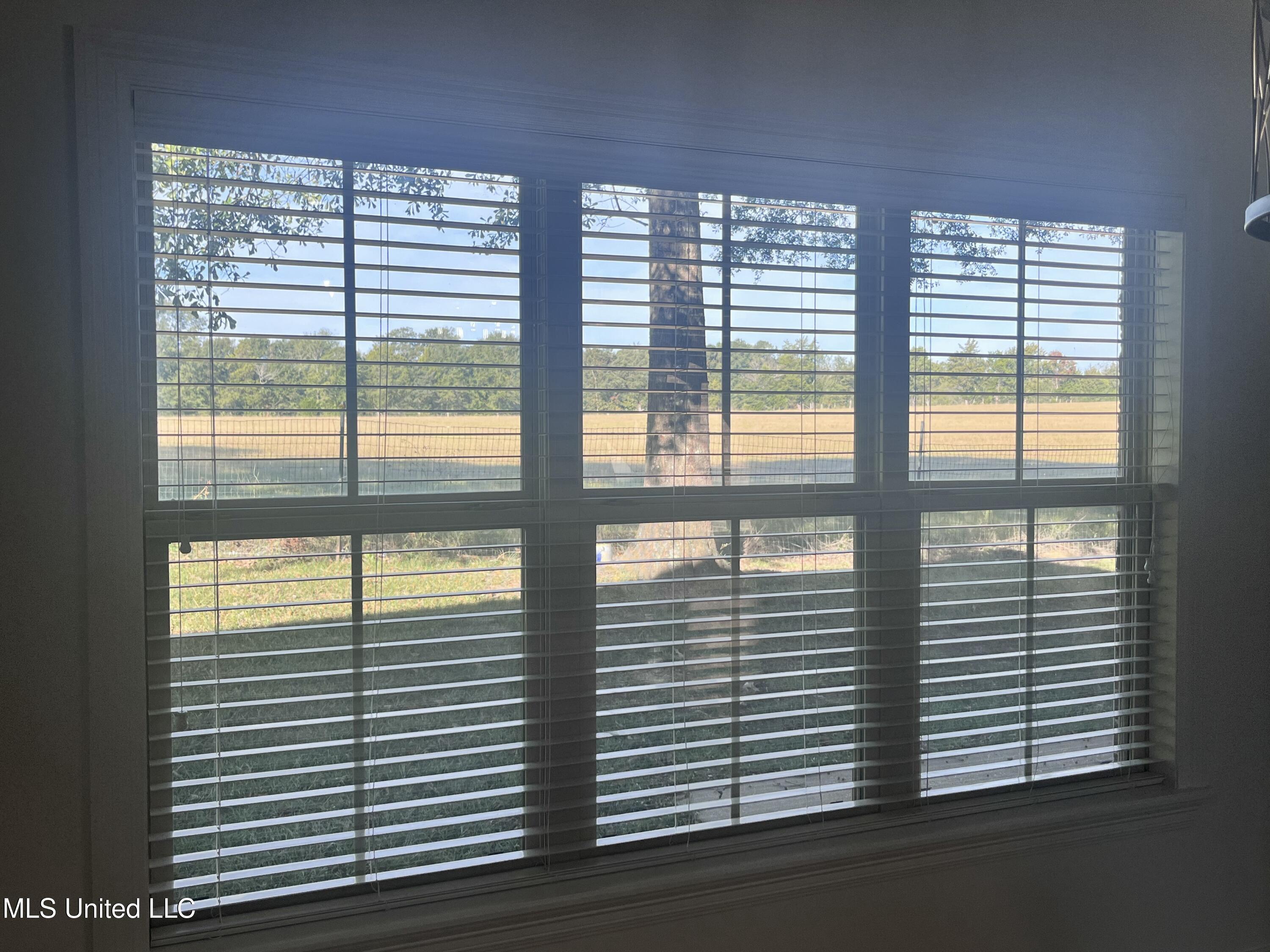 306 Cedar Stone Court Florence, MS 39073 - Photo 36 of 69 IMG_9582