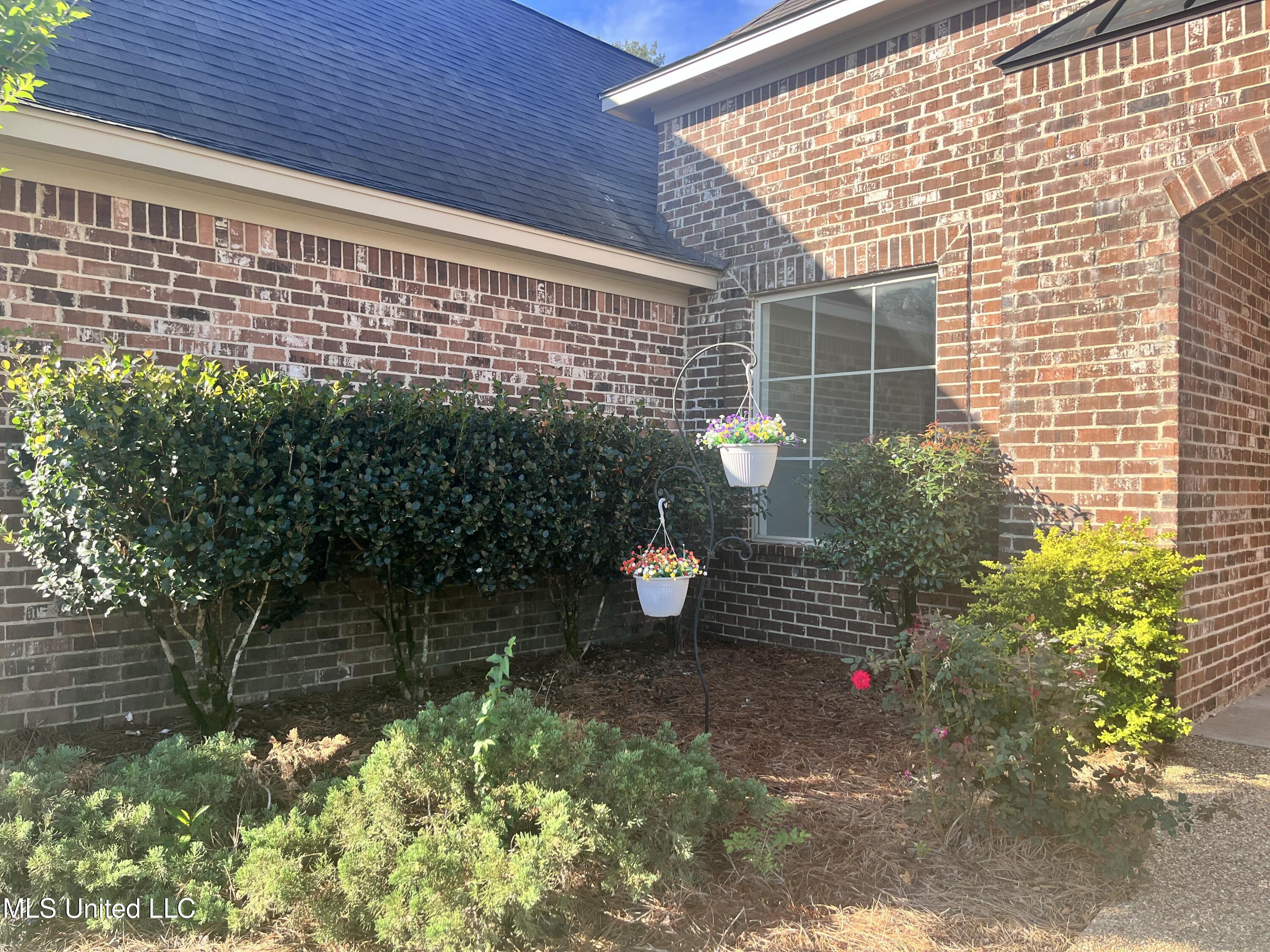 306 Cedar Stone Court Florence, MS 39073 - Photo 4 of 69 IMG_9596