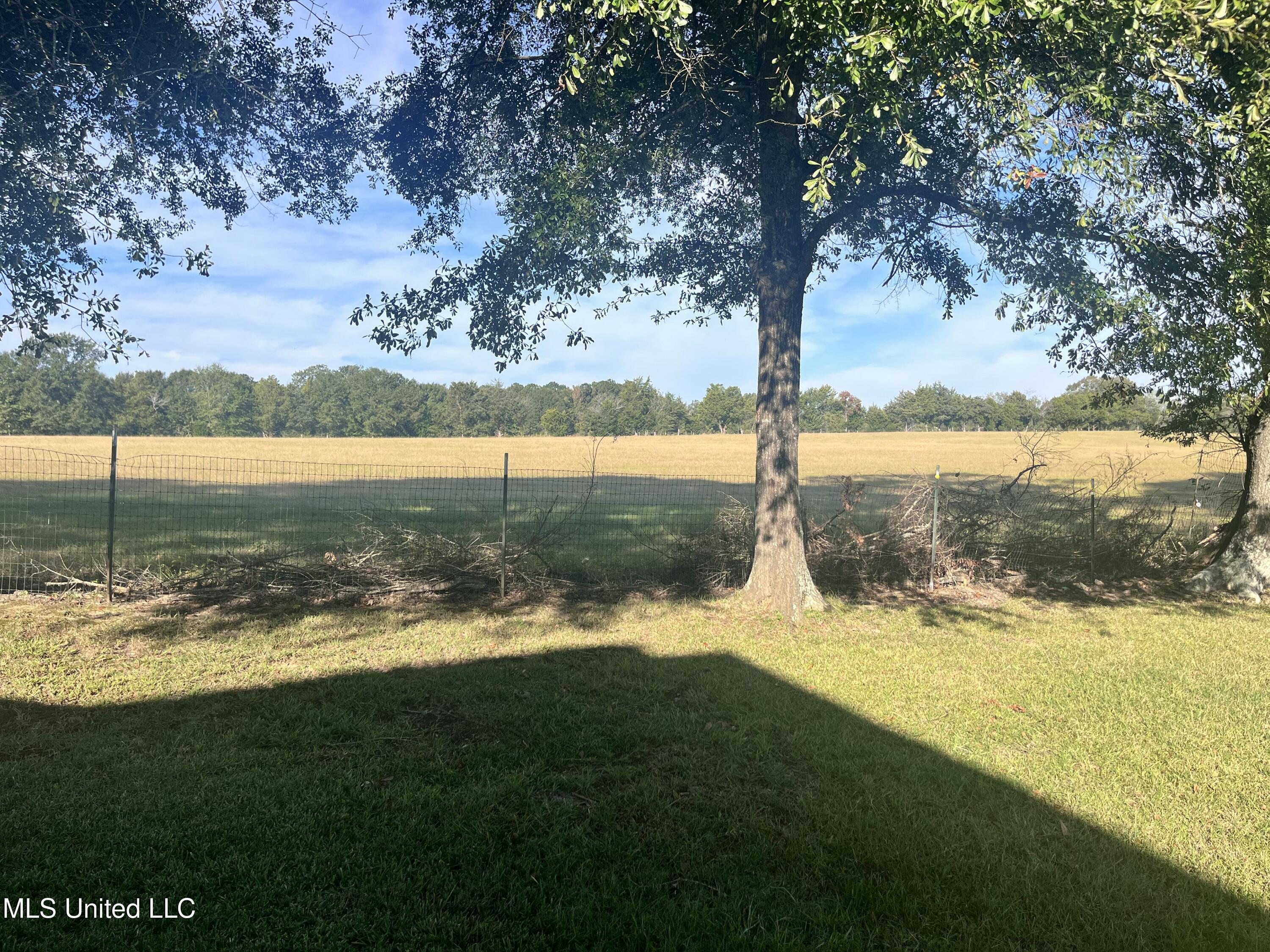 306 Cedar Stone Court Florence, MS 39073 - Photo 58 of 69 IMG_9605