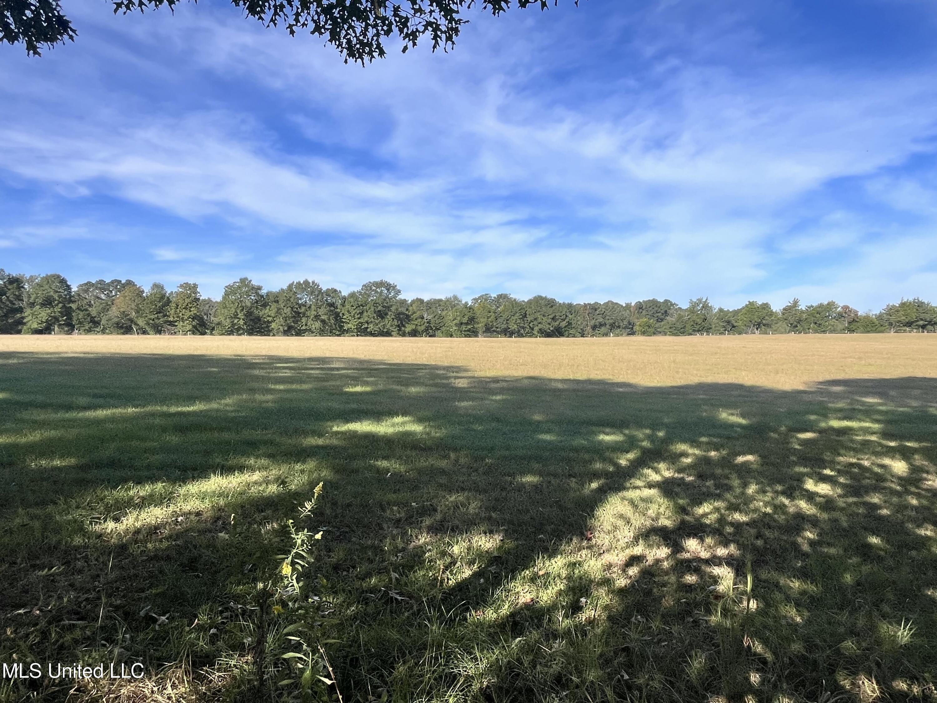 306 Cedar Stone Court Florence, MS 39073 - Photo 60 of 69 IMG_9609