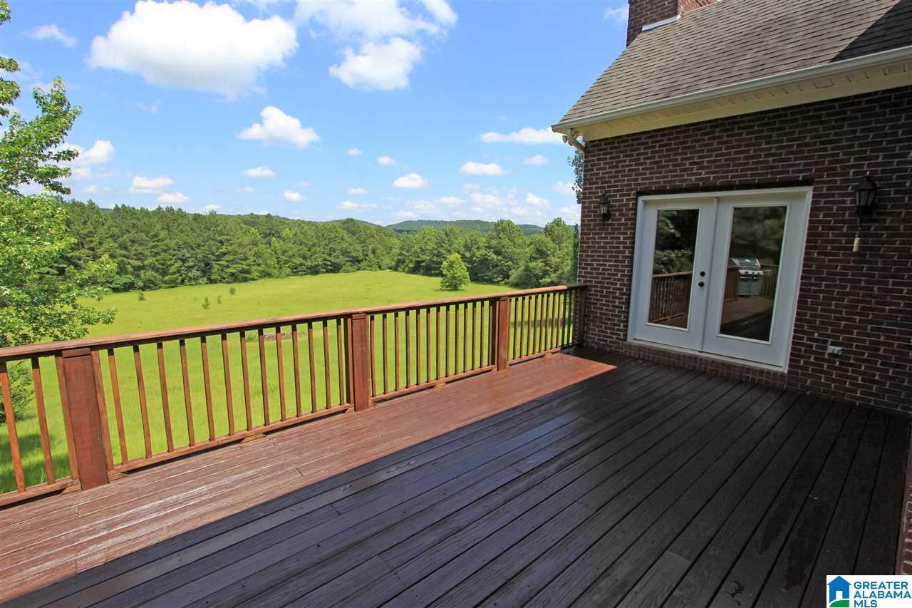 286 Hollingsworth Road Jacksonville, AL 36265 - Photo 5 of 50