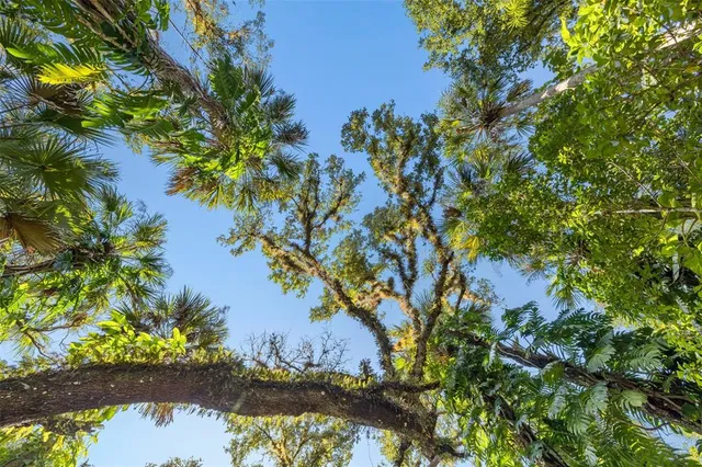 $899,000 | 17790 Caloosa Road, Alva, FL 33920