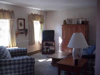 6078 Rex Road Germansville, PA 18053 - Photo 4 of 8 Living Room