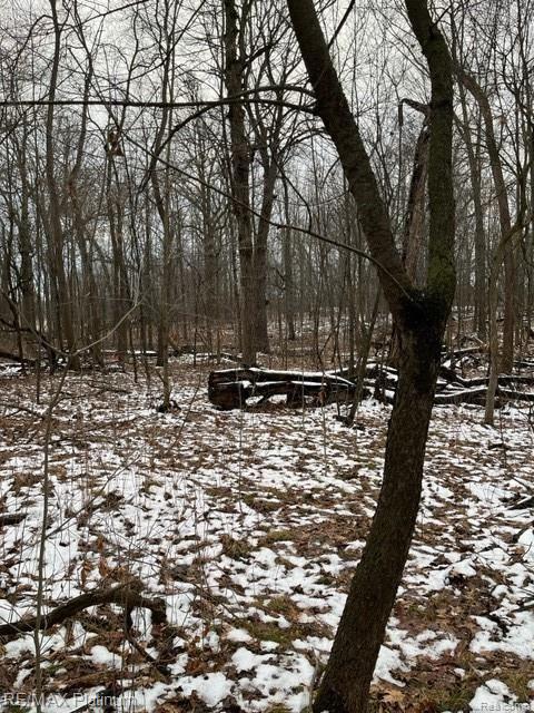 V/l Oak Grove Road Howell, MI 48855 - Photo 22 of 24