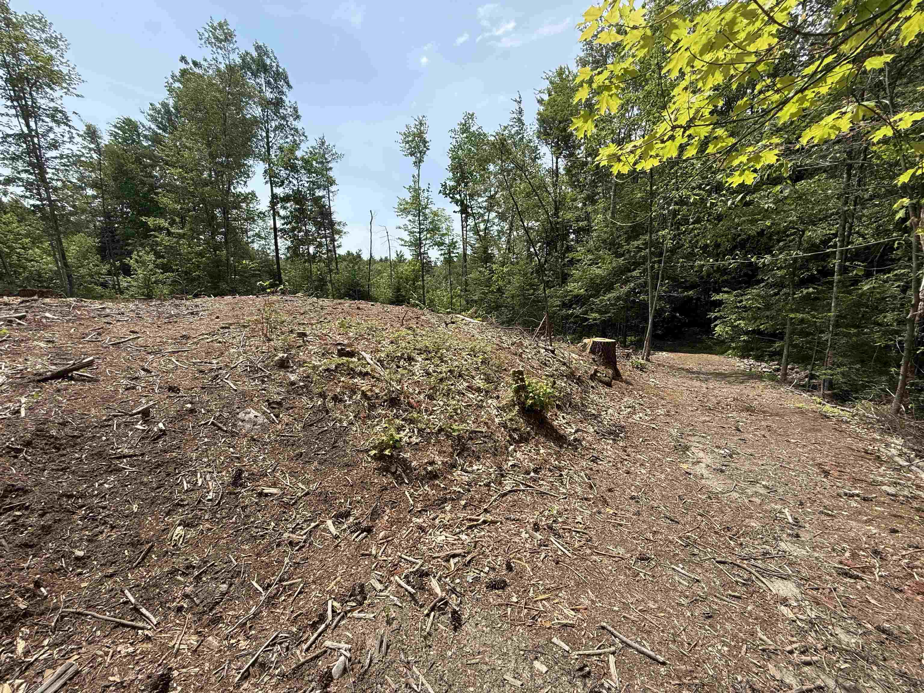51 Pine Ridge Road Middleton, NH 03887 - Photo 3 of 4