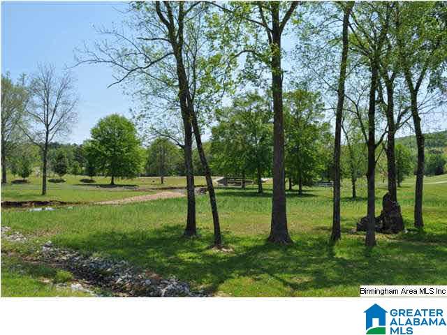 170 Legacy Ridge West, Unit 75 Springville, AL 35146 - Photo 6 of 11