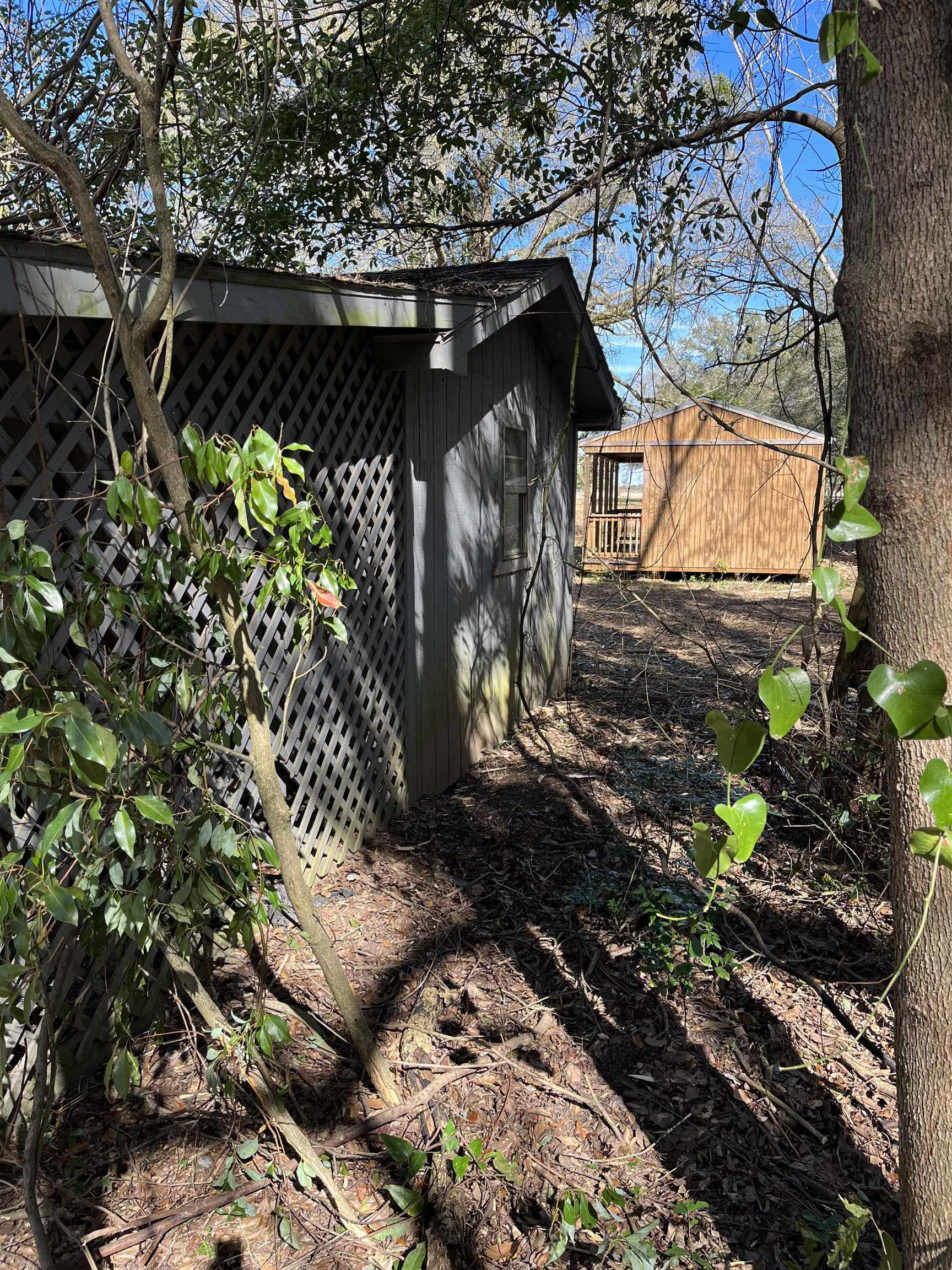 15794 Beasley Road Foley, AL 36535 - Photo 6 of 14