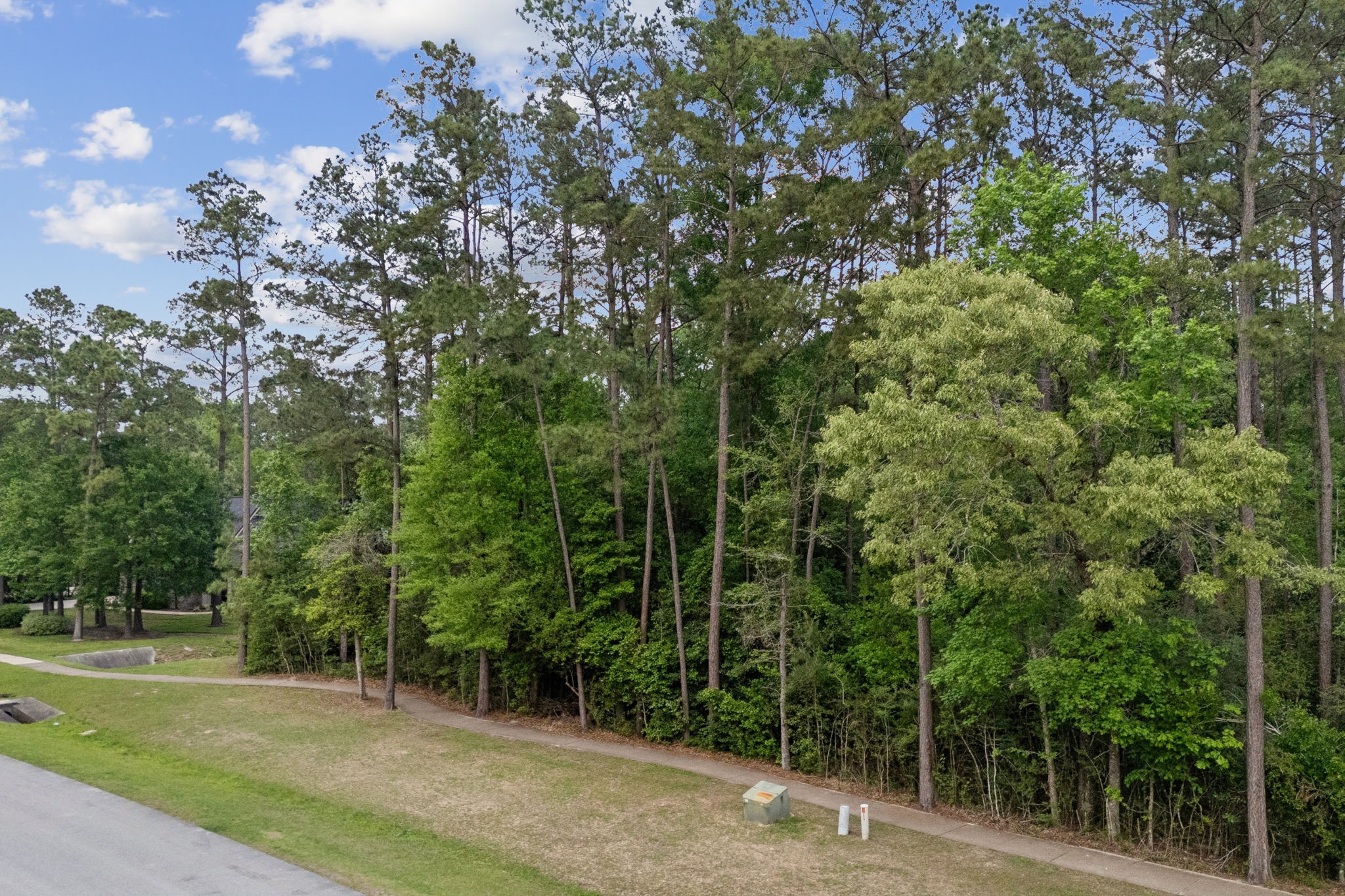 a view of a field with trees in the background