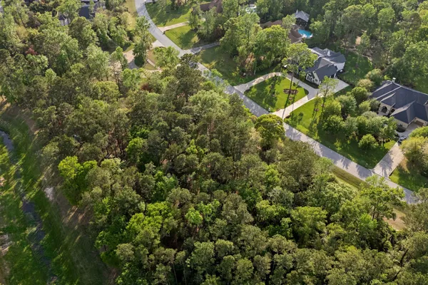 an aerial view of forest