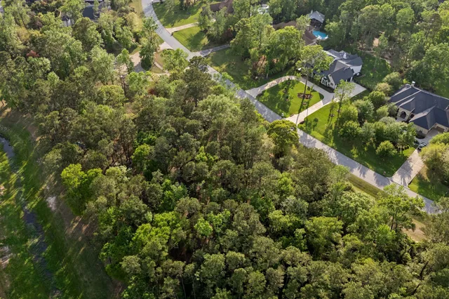 an aerial view of forest